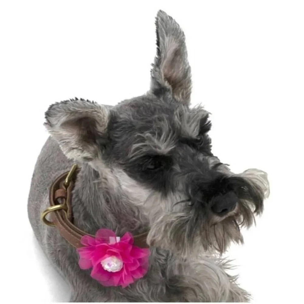 Vibrant Life Dog Flower Bow Collar Clip - Pink, Orange, & White - Set of three